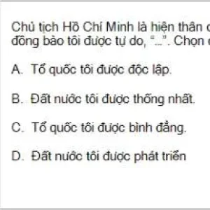 HCM202 SP26 B5 FE_037.webp