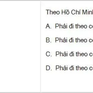 HCM202 SP26 B5 FE_051.webp