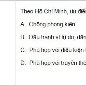 HCM202 SP26 B5 FE_052.webp