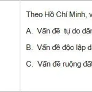 HCM202 SP26 B5 FE_055.webp