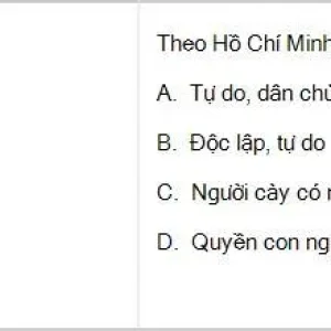 HCM202 SP26 B5 FE_058.webp