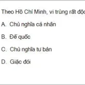 HCM202 SP26 B5 FE_059.webp