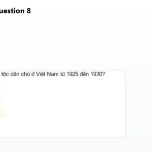 VNR202 SP26 B5 FE_008.webp
