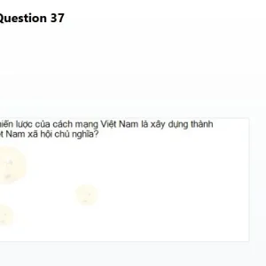 VNR202 SP26 B5 FE_037.webp
