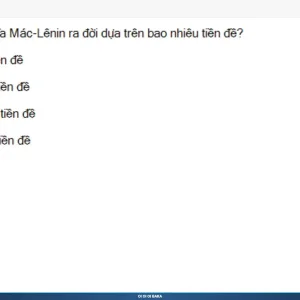MLN111 SP26 B5 FE RE_001.webp