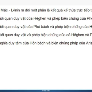 MLN111 SP26 B5 FE RE_002.webp