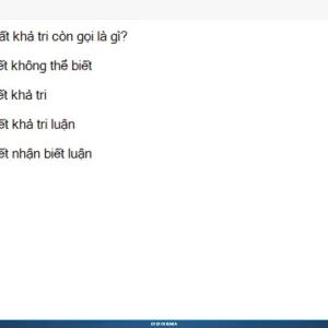 MLN111 SP26 B5 FE RE_004.webp