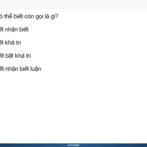 MLN111 SP26 B5 FE RE_005.webp