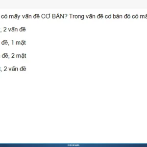 MLN111 SP26 B5 FE RE_038.webp