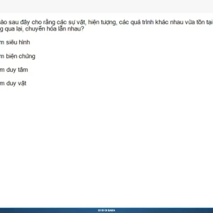 MLN111 SP26 B5 FE RE_039.webp