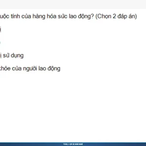 MLN122 SP26 B5 FE RE_043.webp