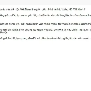 HCM202 SU26 FE_009.webp