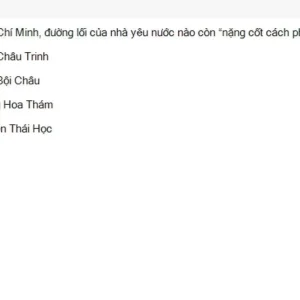 HCM202 SU26 FE_011.webp