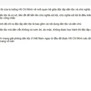HCM202 SU26 FE_014.webp