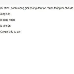 HCM202 SU26 FE_015.webp
