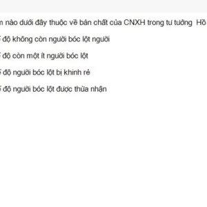 HCM202 SU26 FE_016.webp