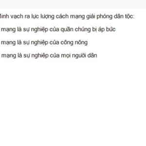 HCM202 SU26 FE_017.webp