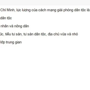 HCM202 SU26 FE_020.webp