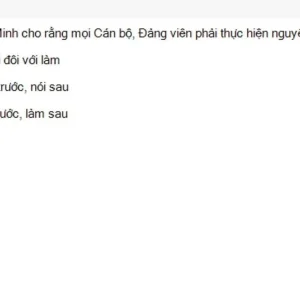 HCM202 SU26 FE_023.webp