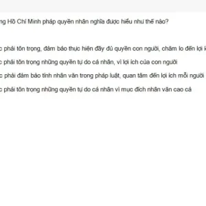 HCM202 SU26 FE_025.webp