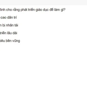 HCM202 SU26 FE_039.webp