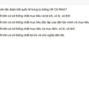 HCM202 SU26 FE_041.webp