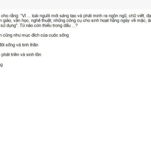 HCM202 SU26 FE_046.webp