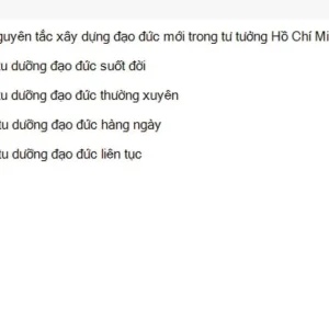 HCM202 SU26 FE_048.webp