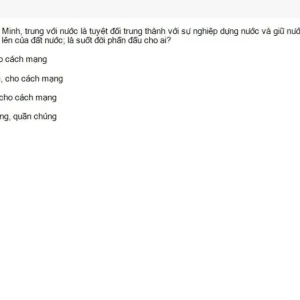 HCM202 SU26 FE_050.webp