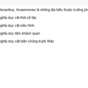 MLN111 SU26 C2FE_004.webp
