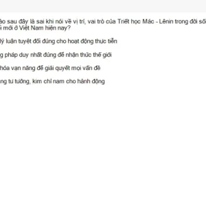 MLN111 SU26 C2FE_007.webp