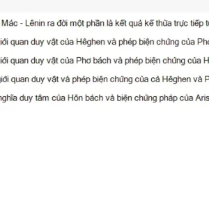 MLN111 SU26 C2FE_008.webp