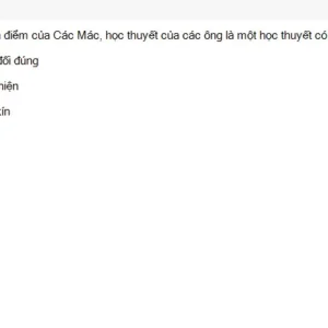 MLN111 SU26 C2FE_009.webp