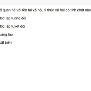Media 'MLN111 SU26 C2FE_050.webp' in category 'MLN111'