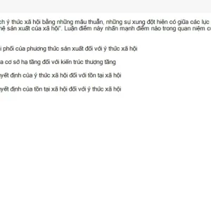 MLN111 SU26 C2FE_059.webp