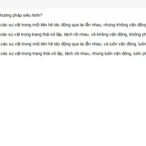 MLN111 SU26 RE_006.webp