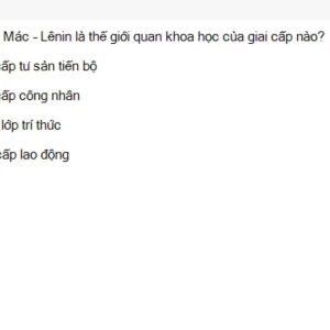 MLN111 SU26 RE_008.webp