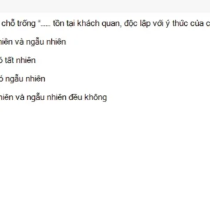 MLN111 SU26 RE_017.webp