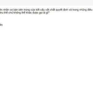 MLN111 SU26 RE_018.webp