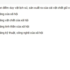 MLN111 SU26 RE_022.webp