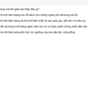 MLN111 SU26 RE_035.webp