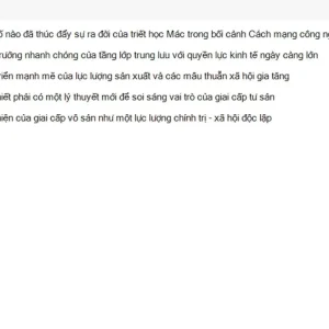 MLN111 SU26 RE_038.webp