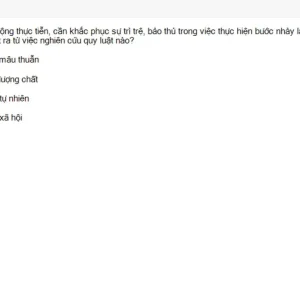 MLN111 SU26 RE_039.webp