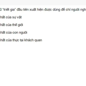 MLN111 SU26 RE_041.webp