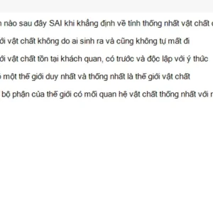 MLN111 SU26 RE_044.webp