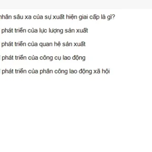 MLN111 SU26 RE_050.webp