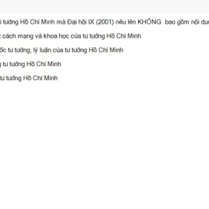 HCM202 SU26 FE RE_002.webp