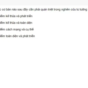 HCM202 SU26 FE RE_005.webp