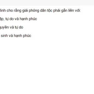HCM202 SU26 FE RE_017.webp