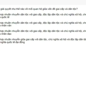 HCM202 SU26 FE RE_019.webp